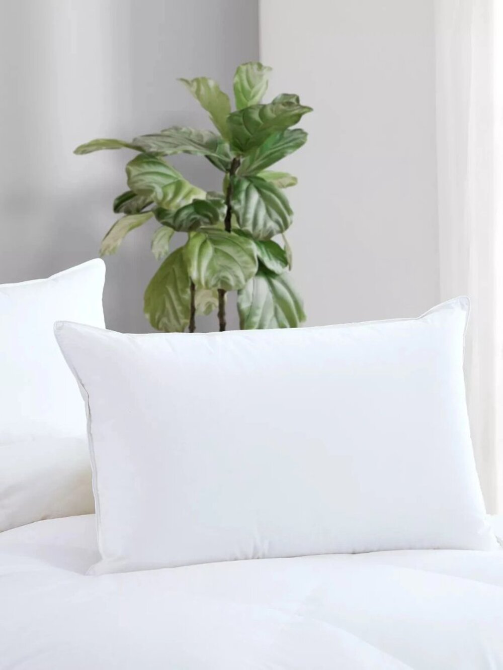 Avocado luxury Down Filled Queen Pillow 100% Cotton Cover 600 Fill Power - $245